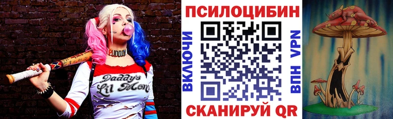 Псилоцибиновые грибы Cubensis  закладка  ссылка на мегу   Задонск 