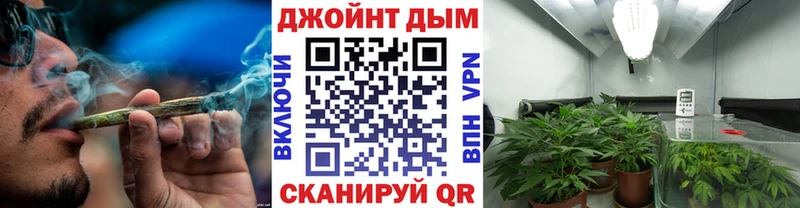 Конопля план  Задонск 